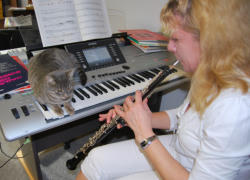 Musikunterricht für Katzen? Unser Cahrly ist jedenfalls sehr musikalisch.  KD-Musikakademie Uster