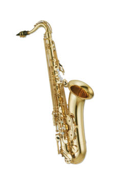 Saxophone Unterricht für Kinder und Erwachsene.  In 8610 Uster